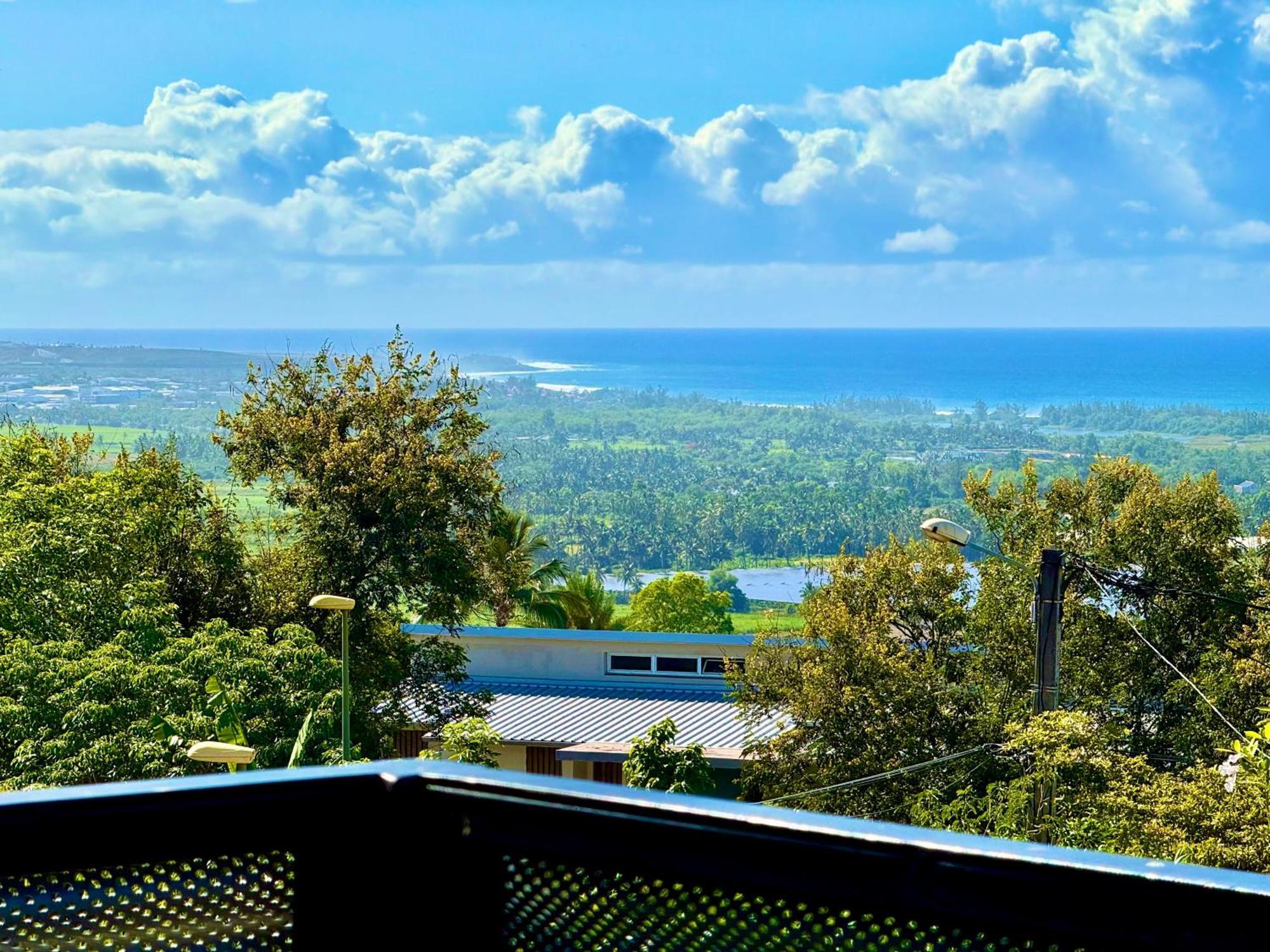 Aloes - Villa Salba. Panoramic View. L'Etang-Sale Экстерьер фото